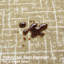 Tapis tissé 700G-1076341821
