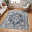 Oriental Area Rug-908219026