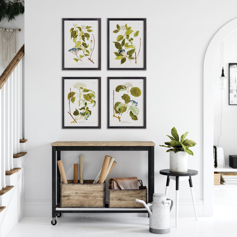 Étude florale et baie