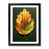 Black Framed selected