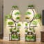Support pour plantes d'intérieur de 157 cm avec lampe de croissance - Ensemble de 2 étagères lumineuses hautes et larges