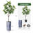 Artificial Tree in Modern Geometric Pattern Planter Fake Rubber Silk Tree (Plant Pot Plus Tree)-104347525