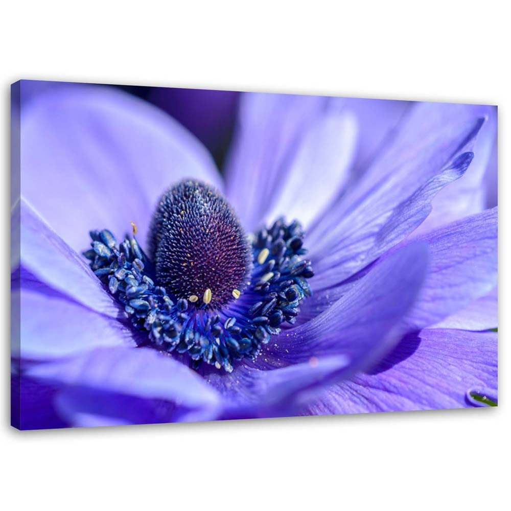 Leinwandbild Blaue und lila Blume