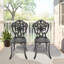Lot de 2 chaises de salle à manger d'extérieur en aluminium moulé avec cadre noir-78033006