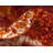 Abstract Indoor Rug-1535409817