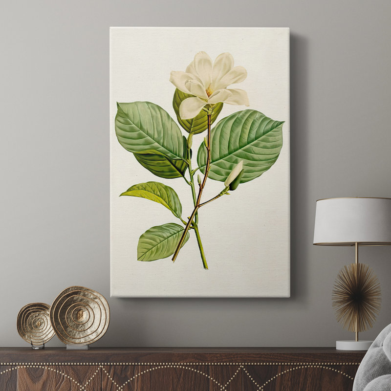 MagnoliaFlowersI - galerie Cavas sur mesure, H 18 po x l 12 po