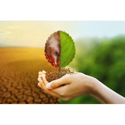 Climat, changement - photographie sur toile tendue