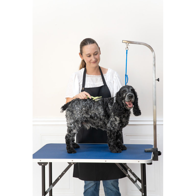 Foldable Tabletop Grooming Table, 31" H x 36" W x 24" L