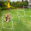 Équipement d'entraînement White Dog Agility - 4 pièces avec barres réglables et trousse de transport pratique pour sac de transport, pour chiens sauvages
