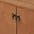 Kellie 2 -Door Storage Cabinet