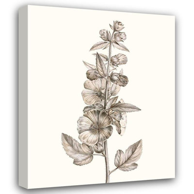 Art sur toile tendue Lark Manor ™ Vision Studio Gallery: Neutral Botanical Study V