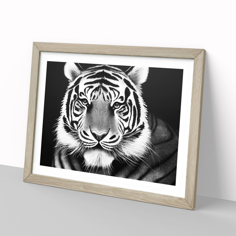 Monochrome Tiger Vol.5 - Framed Print, 46cm H x 64cm W x 2cm D, Oak Framed
