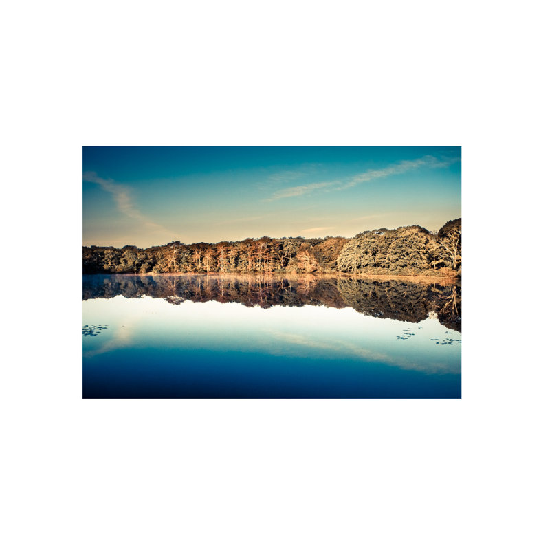 Hampton Pond Print by Francis Augustine