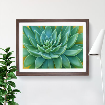 Soulful Succulent Plant - Framed Print