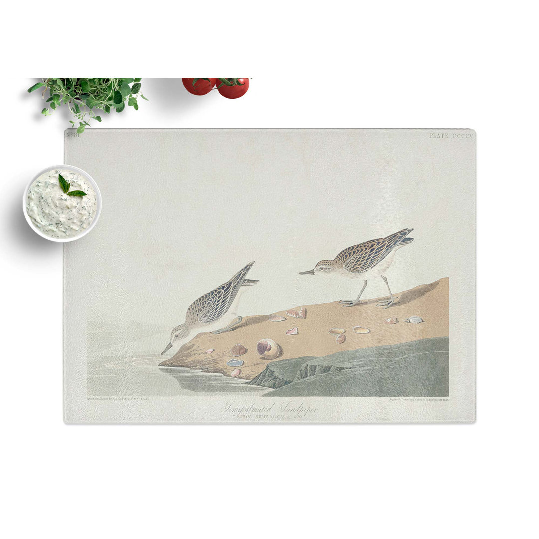 Tempered Glass Semipalmated Sandpiper by John James Audubon Chopping Board