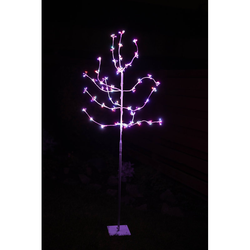 LED Holiday Lighting