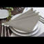 Table Napkins 10-Pack | 19x19 Inch Polyester | Luxury 180gsm Extra Soft & Absorbent | Machine Washable Dinner Napkins for Weddings, Parties & Everyday Dining-939175225