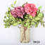 Arrangement d'hortensias en pot-510998317
