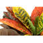 100cm Faux Banana Leaf Plant in Pot