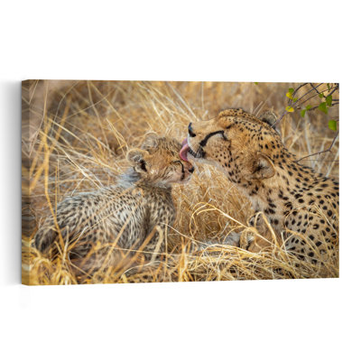 Cheetah Mother Cub Affection Contemporary Cat Animal Nature Wall Art Print by Jeffrey C. Sink - 1 Piece Wrapped Canvas Wall Art