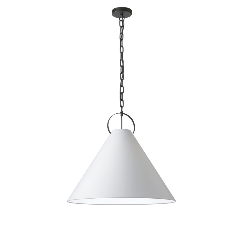 Luminaire suspendu incandescent 1 lumière Princeton, Noir mat, Blanc, H 19,5 po x l 24 po x P 24 po