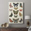 Flutterbys I -Gallery Wraraped Cavas-524413422
