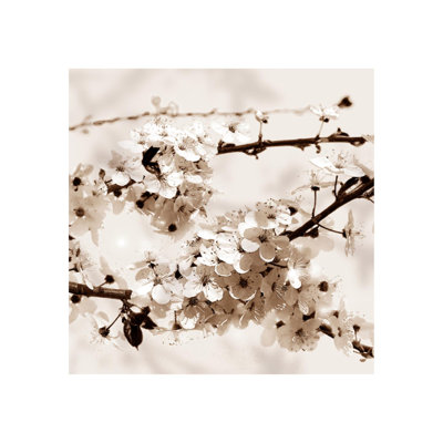 Sakura II Print by Sofia Fox