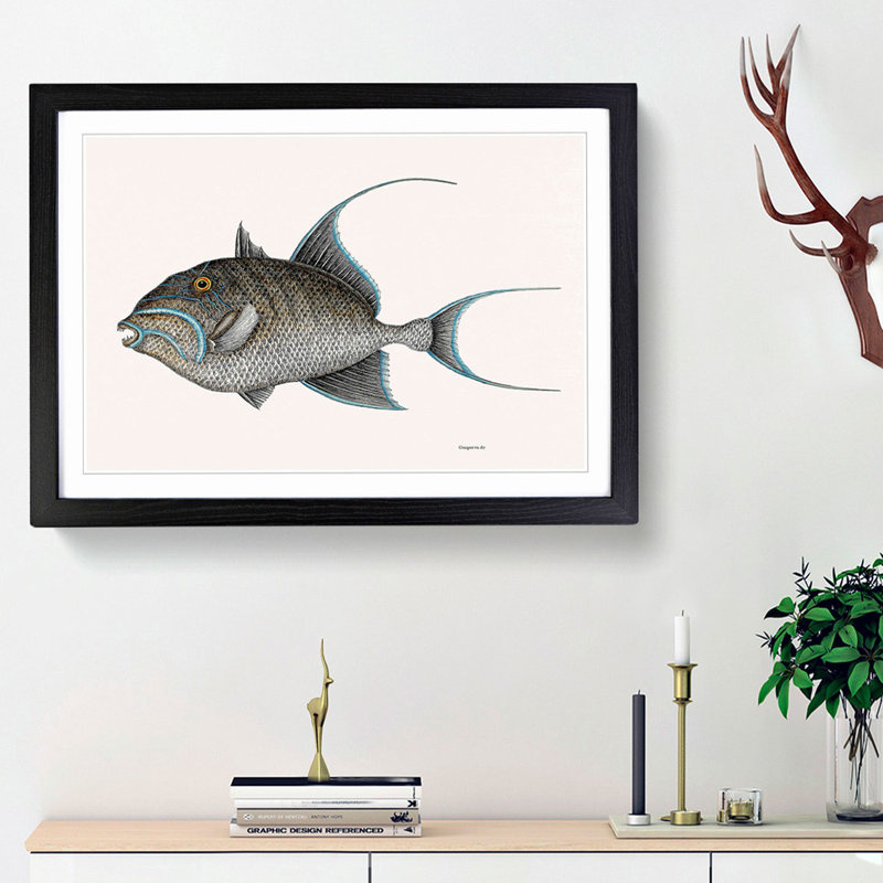 Old Wife Fish by Mark Catesby - Picture Frame Painting Print, Black Framed, 27cm H x 36cm W x 2cm D