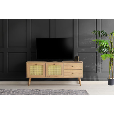 Shamong Unfinished TV Stand