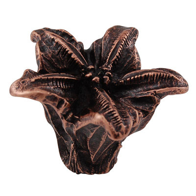 Carlotta Novelty Knob