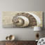 Calming Shell II - Toile tendue avec châssis - Prêt à accrocher-107359337