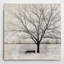 " Lonely Tree " by Katrina Craven-1752145941