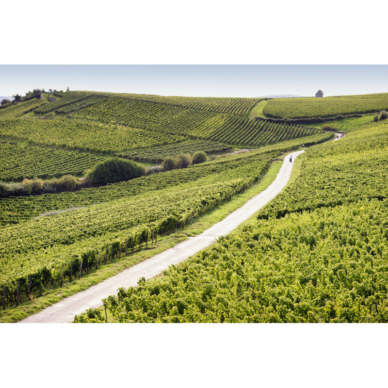 Rheingau Riesling Vineyards by Silberkorn - Wrapped Canvas Print, 30cm H x 46cm W x 3.8cm D