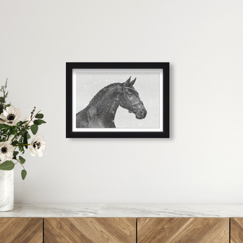 Midnight Majesty I Framed Graphic Art, 25.5"H x 37.5"W, Black Shadowbox