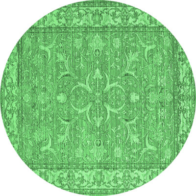 Washable Oriental Indoor Rug