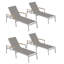 Travira Outdoor Chaise Lounge-1919204429-1919204422-1919204431