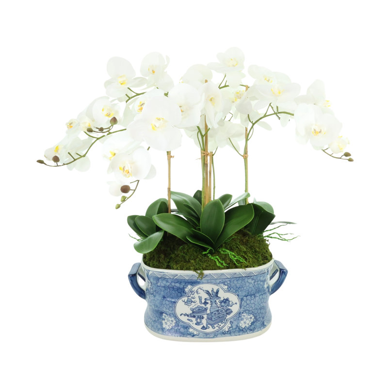 Arrangement Arrington Orchid en pot décoratif en céramique
