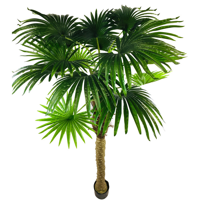 220cm Palm Tree in Pot