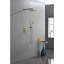 Ensemble de douche mural 10 po