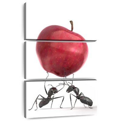 Fourmis noires avec pomme