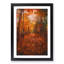 Autumn Forest Pathway In Abstract - Single Picture Frame Painting-55456919-55456923