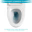 Ceramic One Piece Toilet,Single Flush With Soft Clsoing Seat