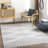 Hrinda Laron Machine Woven Polyester Area Rug in Gray-1748118541