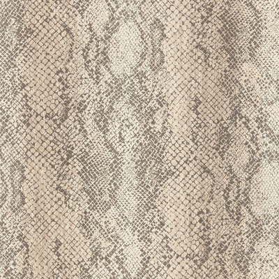 Cody Snakeskin Wallpaper