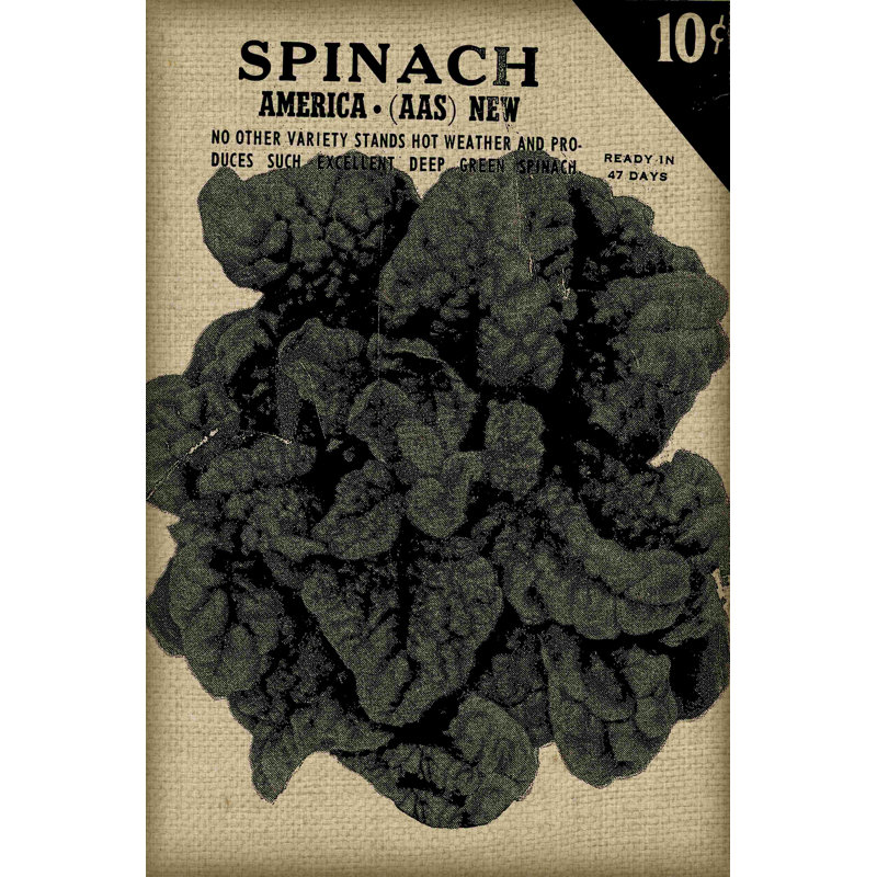 " Vintage Seed Pack VI " by Vision Studio, 36" H x 24" W  