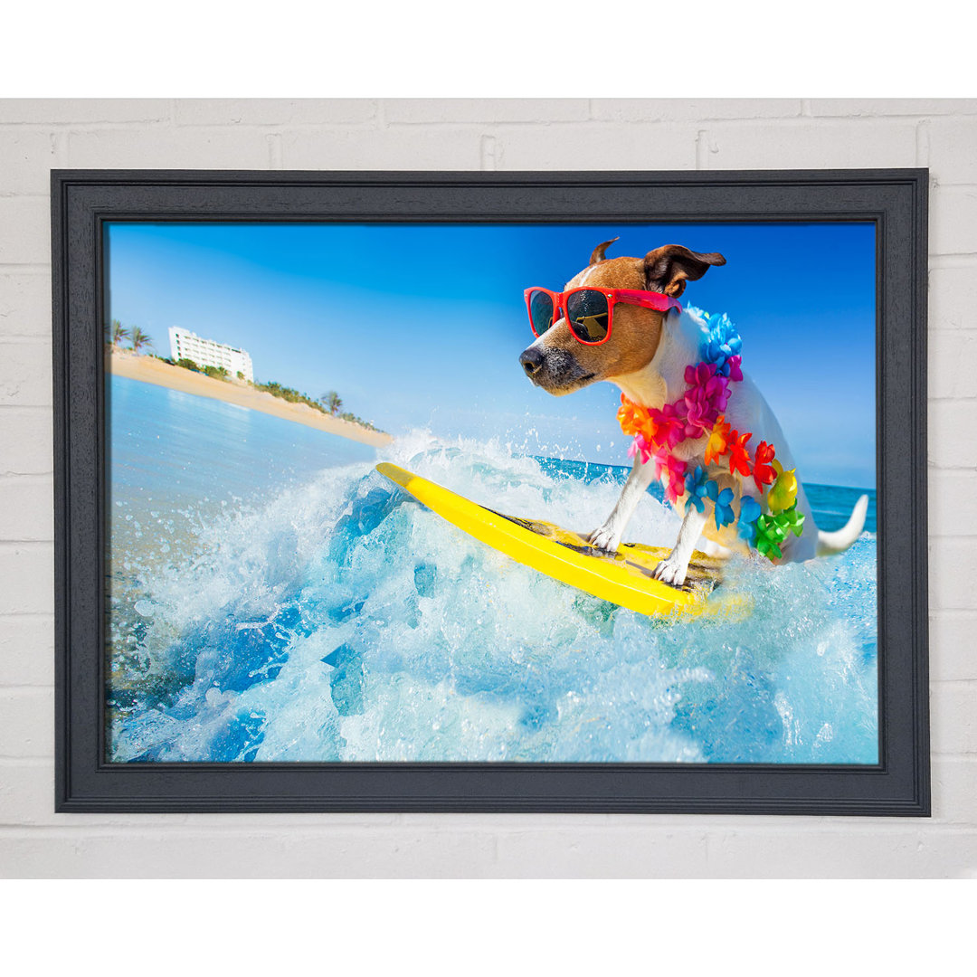 Hund mit Sonnenbrille beim Surfen - Einzelner Bilderrahmen Kunstdrucke