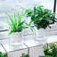 Jardinières transparentes à arrosage automatique, pots de fleurs de 4,3 pouces, pots en plastique avec pot d'arrosage, pot de fleurs décoratif moderne pour plantes d'intérieur, herbes, plantes d'intérieur - Taille L
