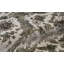 Oriental Area Rug