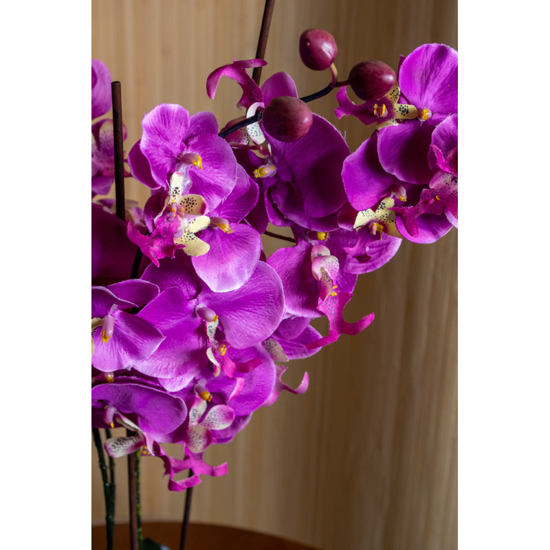Orchid Arrangement in Vase