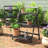 Inglestone Common Plant Stand - Set of 2-24800856